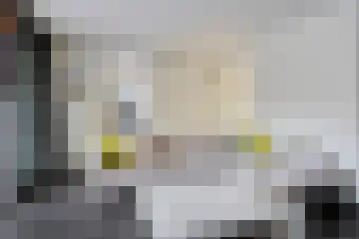 Bosscheweg 33 Tilburg thumbnail 11