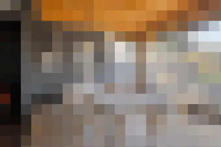 Bosscheweg 33 Tilburg thumbnail 13