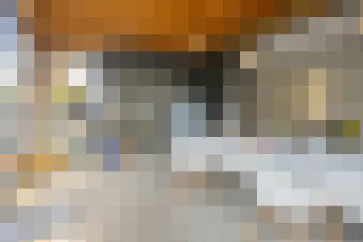 Bosscheweg 33 Tilburg thumbnail 14