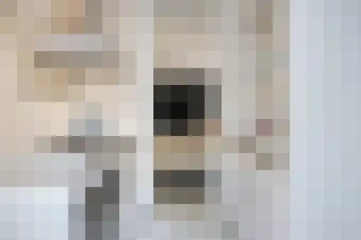 Bosscheweg 33 Tilburg thumbnail 16