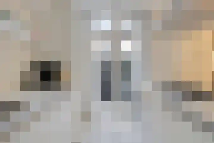 Bosscheweg 33 Tilburg thumbnail 17