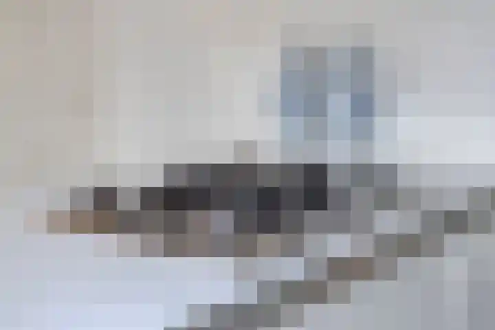 Bosscheweg 33 Tilburg thumbnail 18