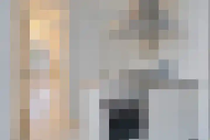 Bosscheweg 33 Tilburg thumbnail 20