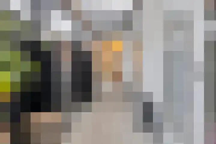 Bosscheweg 33 Tilburg thumbnail 24