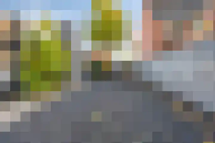 Bosscheweg 33 Tilburg thumbnail 47