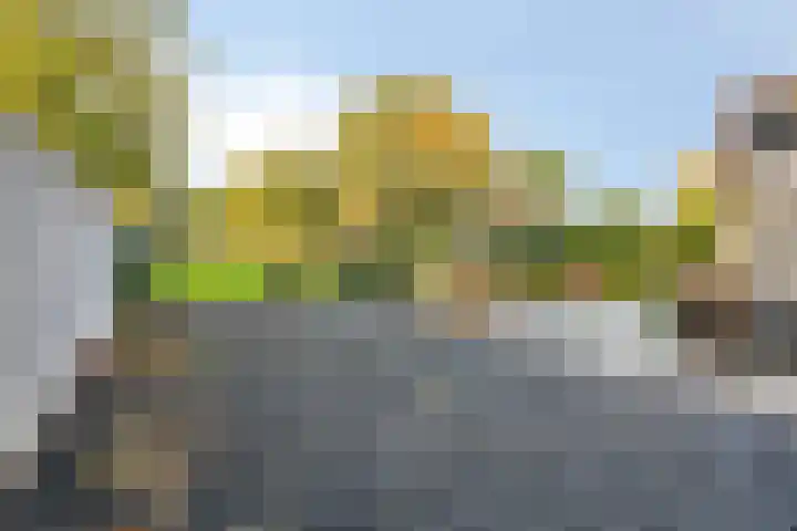 Bosscheweg 33 Tilburg thumbnail 48