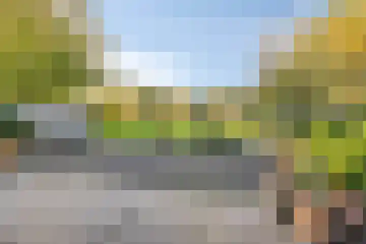 Bosscheweg 33 Tilburg thumbnail 50