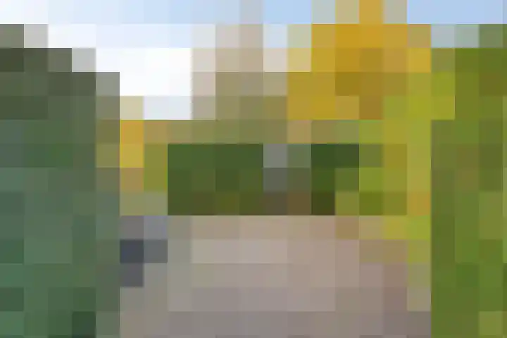 Bosscheweg 33 Tilburg thumbnail 51