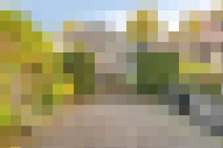 Bosscheweg 33 Tilburg thumbnail 52