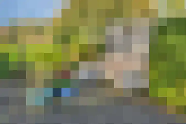 Bosscheweg 33 Tilburg thumbnail 53