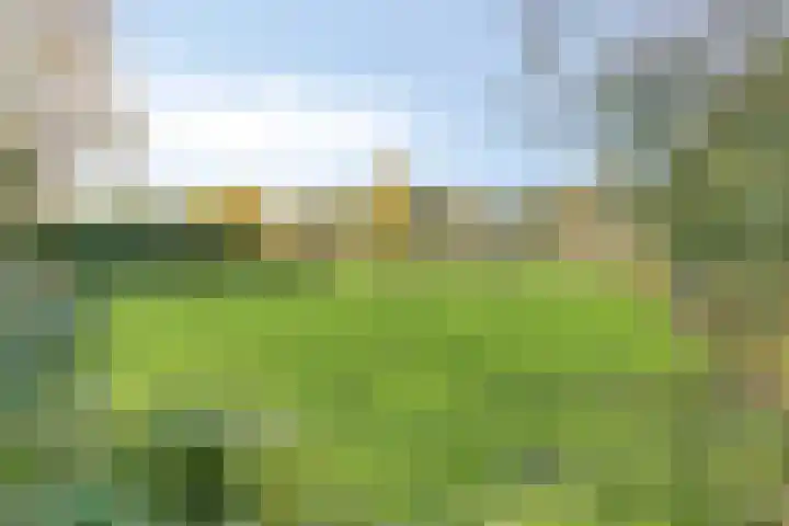Bosscheweg 33 Tilburg thumbnail 54