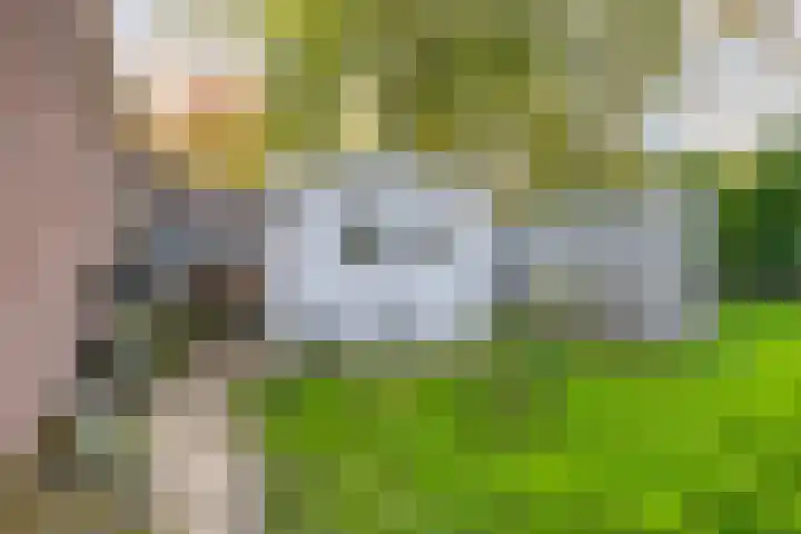 Bosscheweg 33 Tilburg thumbnail 56