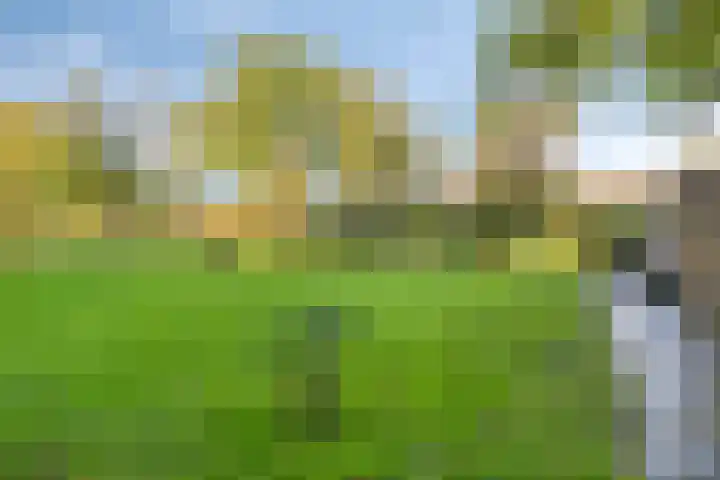 Bosscheweg 33 Tilburg thumbnail 57
