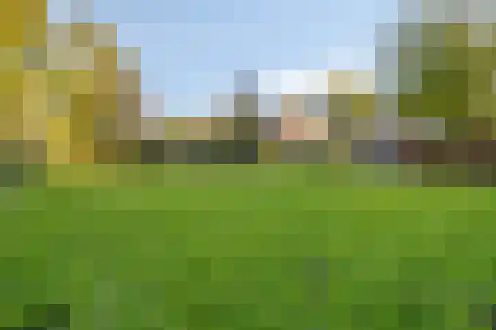 Bosscheweg 33 Tilburg thumbnail 58