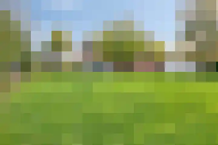 Bosscheweg 33 Tilburg thumbnail 59