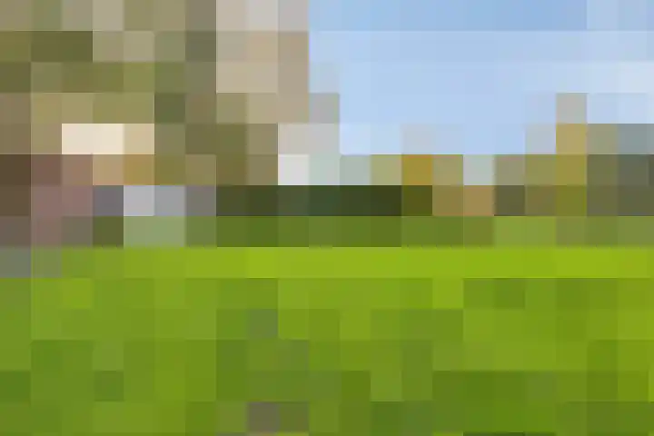 Bosscheweg 33 Tilburg thumbnail 60