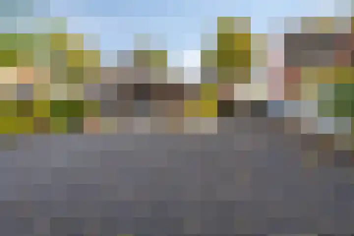 Bosscheweg 33 Tilburg thumbnail 61