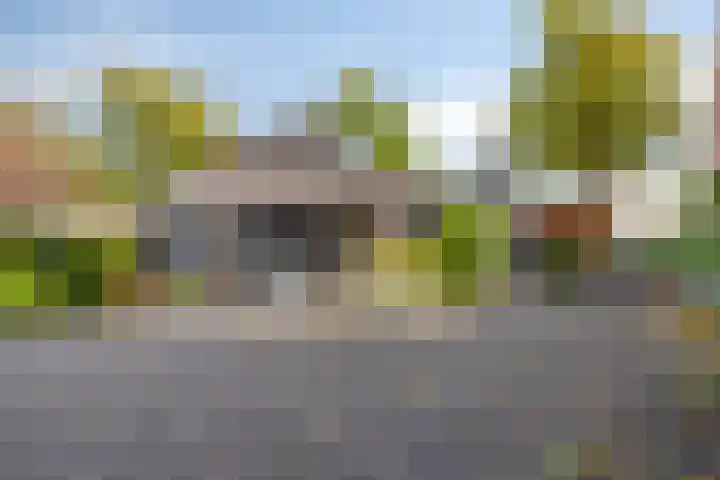 Bosscheweg 33 Tilburg thumbnail 63
