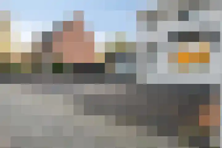 Bosscheweg 33 Tilburg thumbnail 64