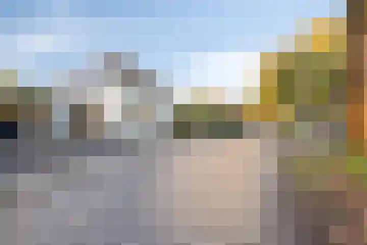 Bosscheweg 33 Tilburg thumbnail 65
