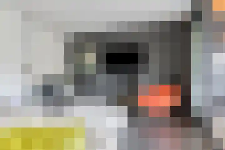 Bosscheweg 33 Tilburg thumbnail 8