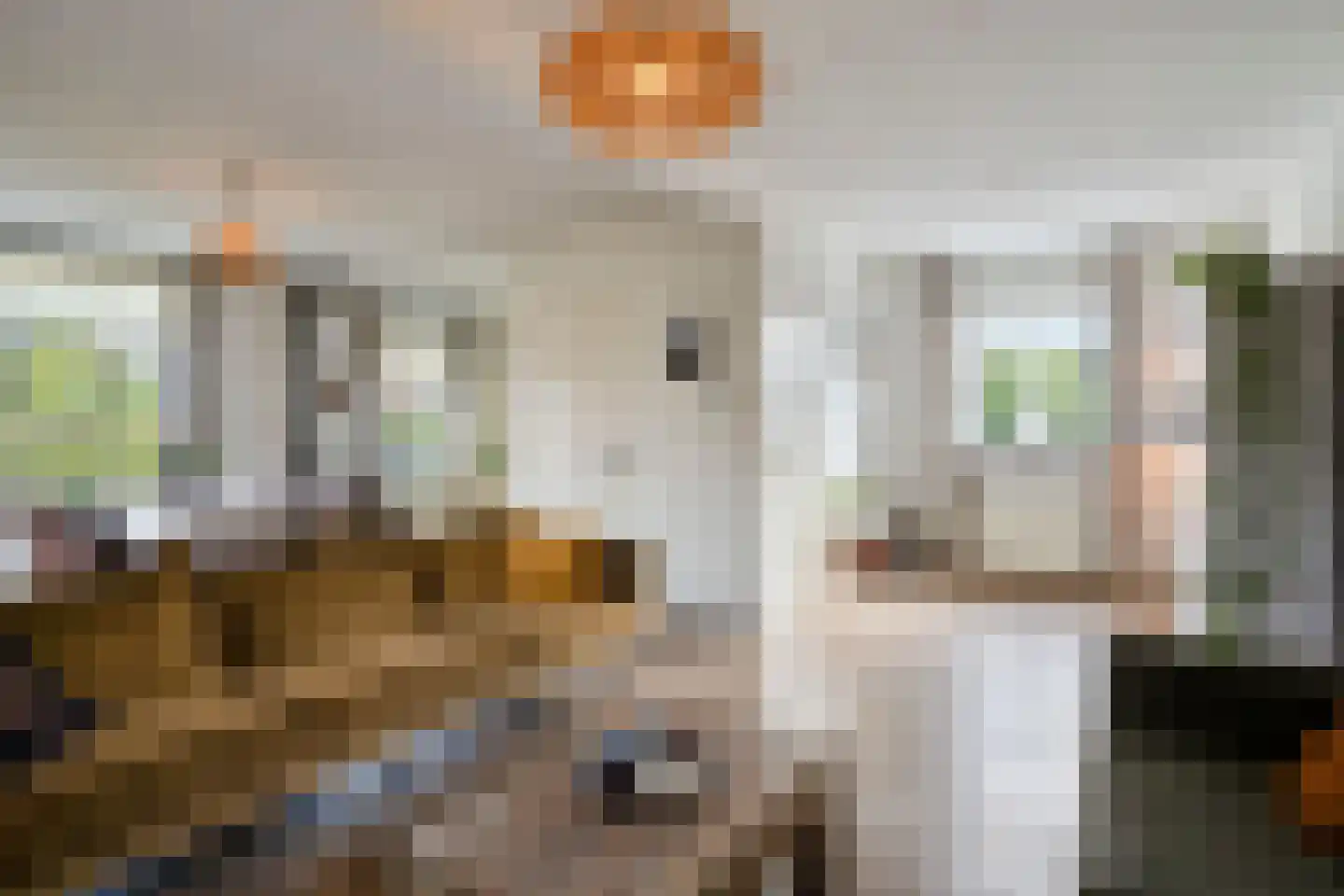 Bosscheweg 35 Drunen thumbnail 10