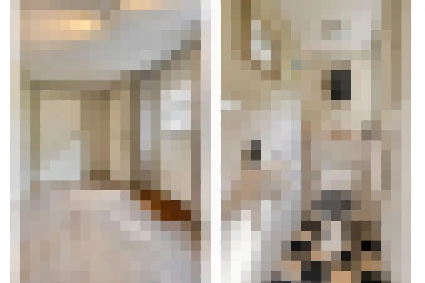 Bosscheweg 35 Drunen thumbnail 18