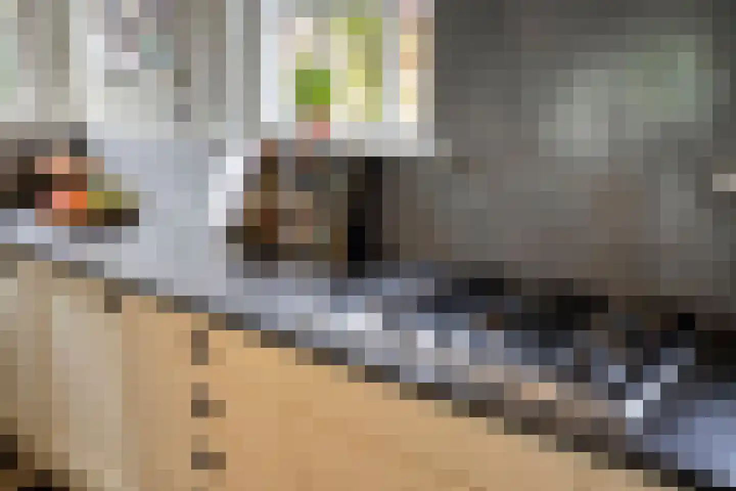 Bosscheweg 35 Drunen thumbnail 22