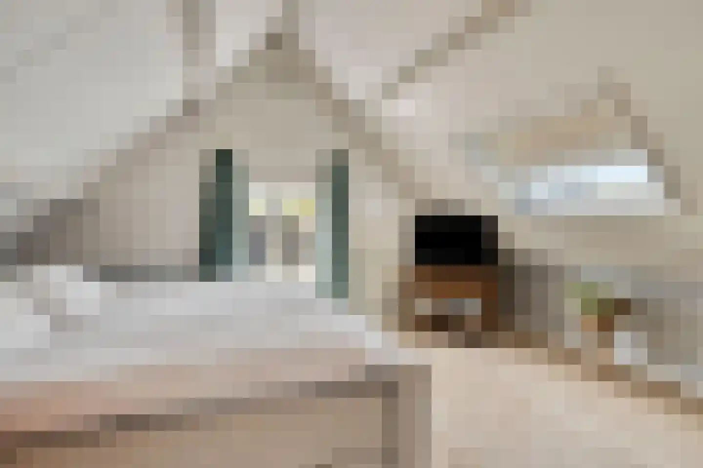 Bosscheweg 35 Drunen thumbnail 26
