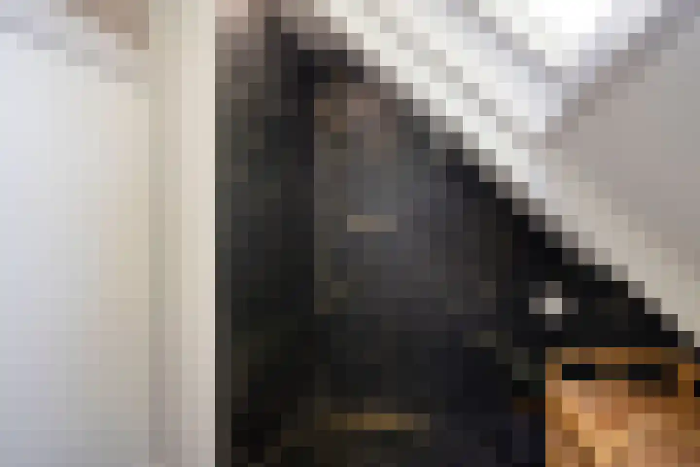 Bosscheweg 35 Drunen thumbnail 33