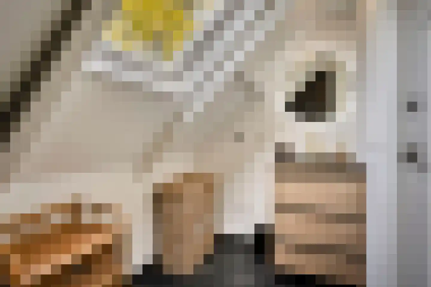 Bosscheweg 35 Drunen thumbnail 34