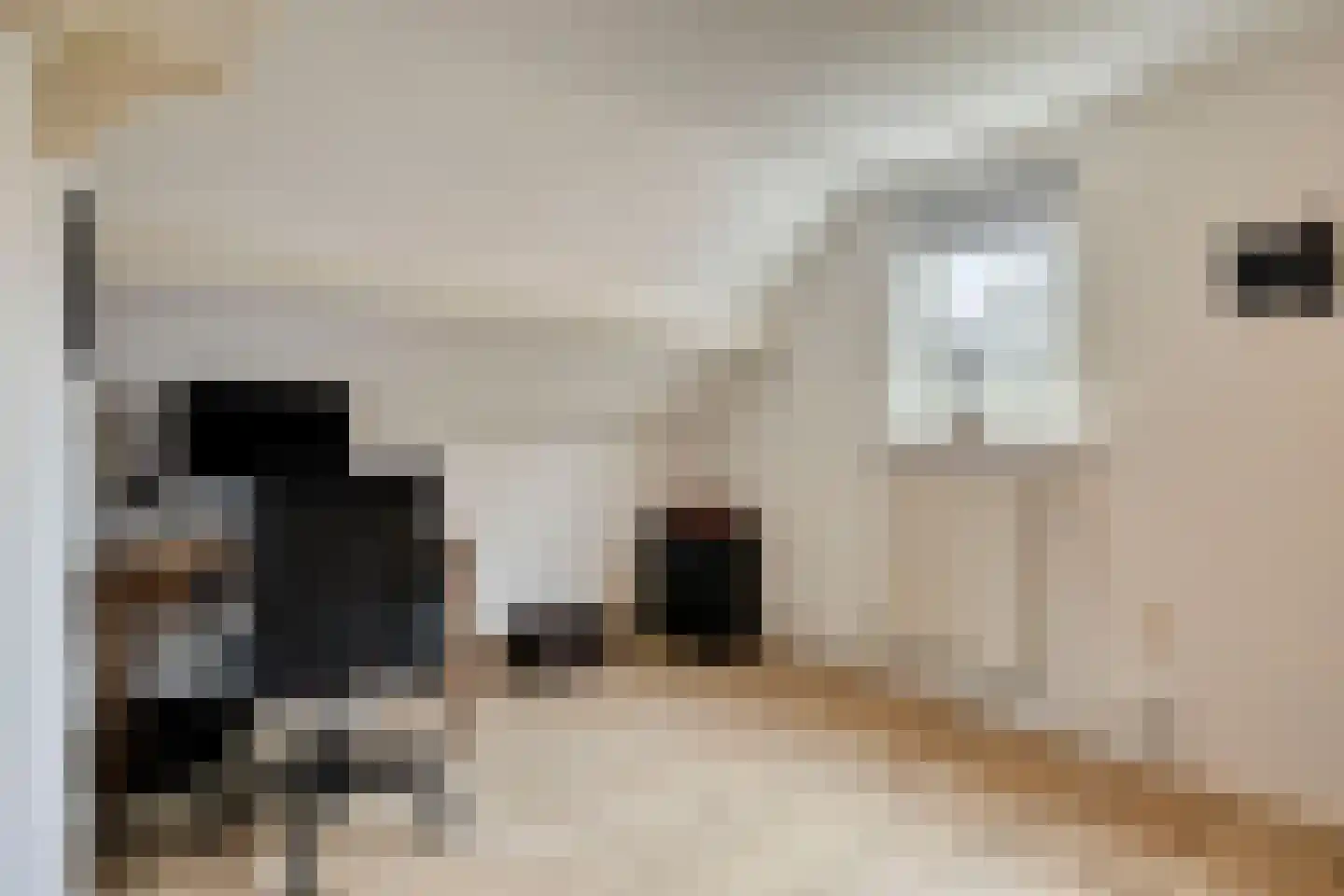 Bosscheweg 35 Drunen thumbnail 37