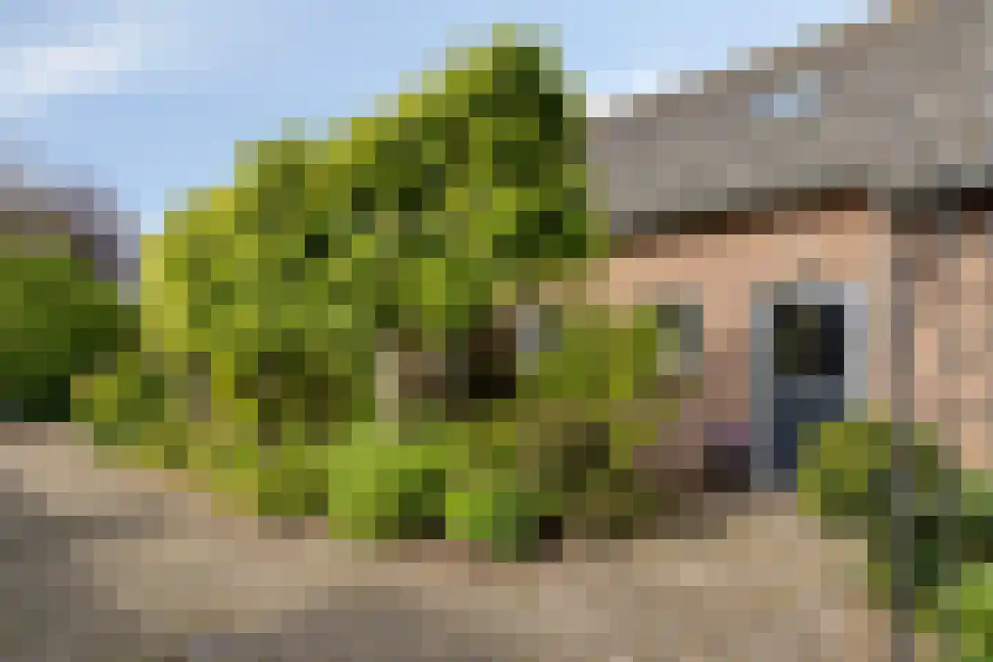 Bosscheweg 35 Drunen thumbnail 38