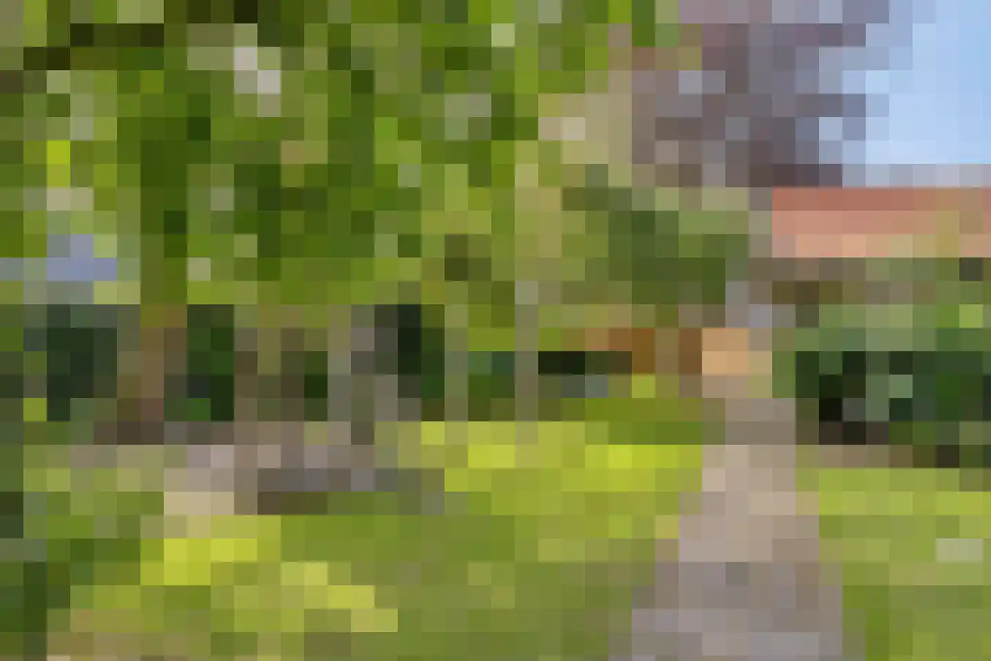 Bosscheweg 35 Drunen thumbnail 41