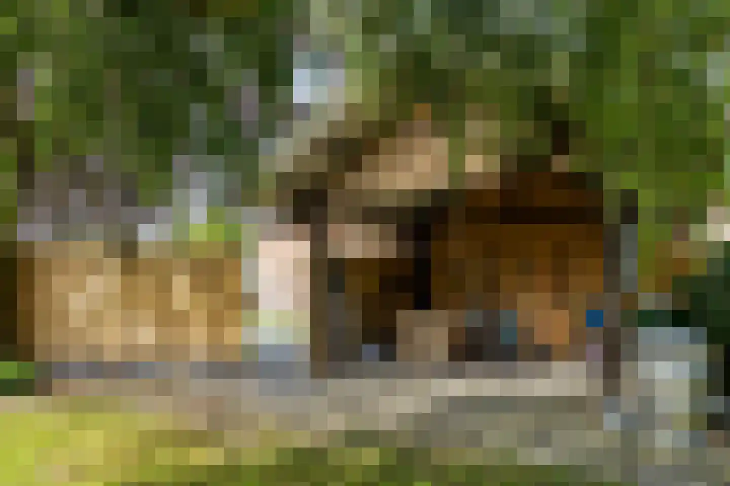 Bosscheweg 35 Drunen thumbnail 43