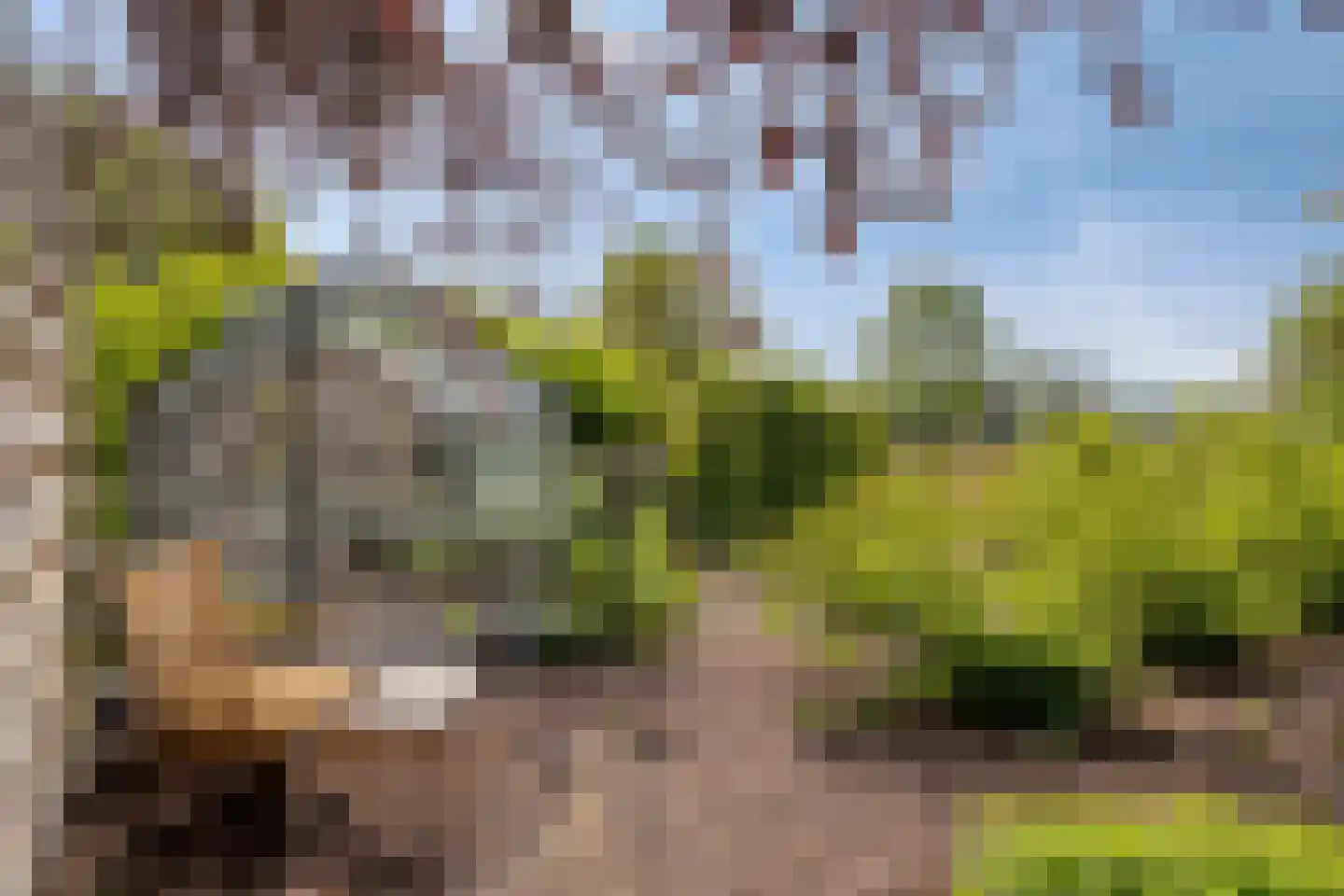 Bosscheweg 35 Drunen thumbnail 45