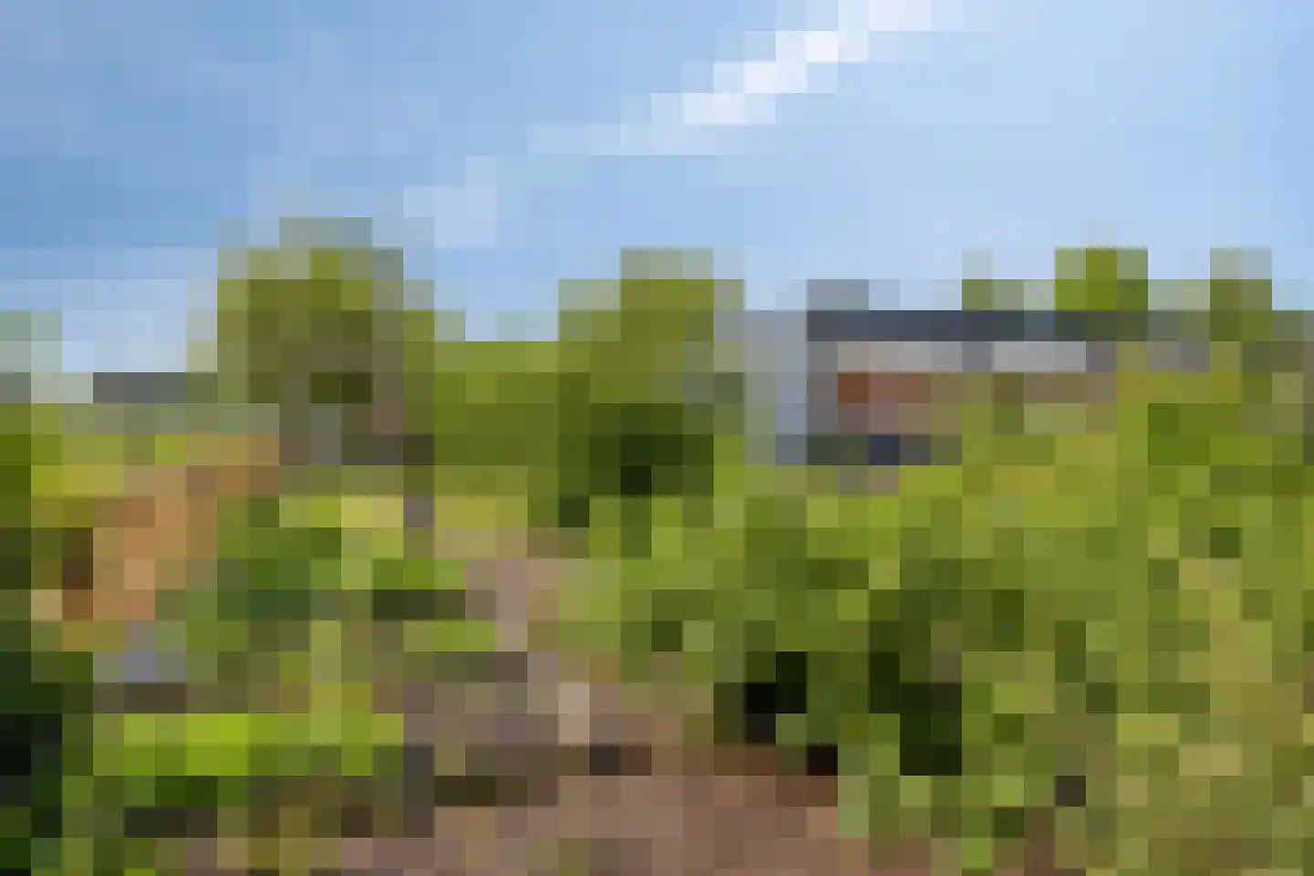 Bosscheweg 35 Drunen thumbnail 46