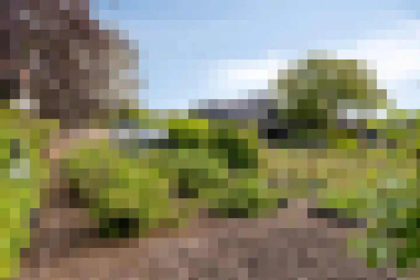 Bosscheweg 35 Drunen thumbnail 47