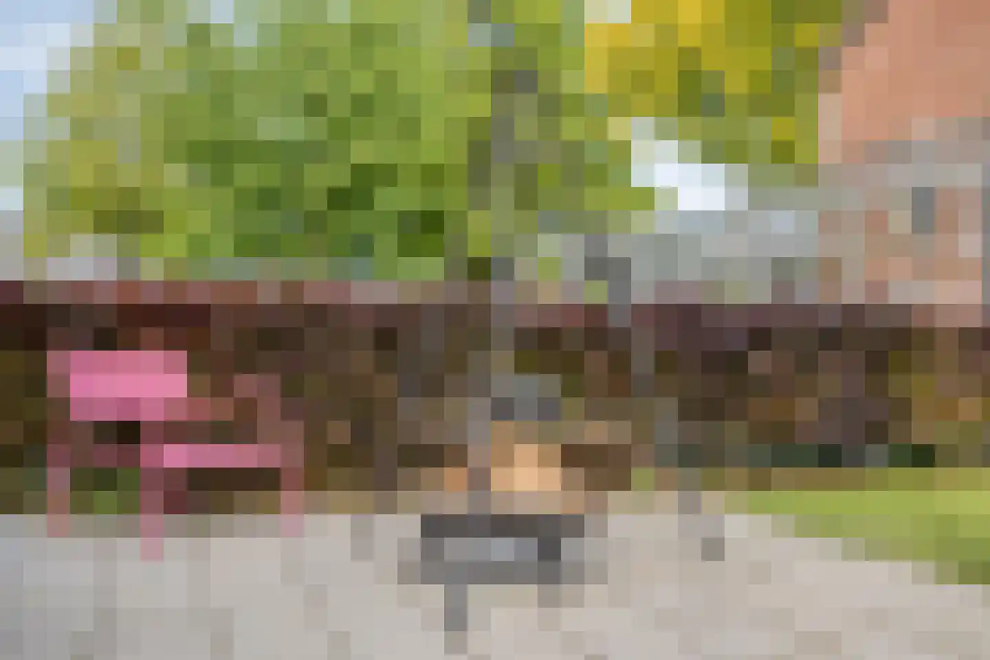Bosscheweg 35 Drunen thumbnail 50
