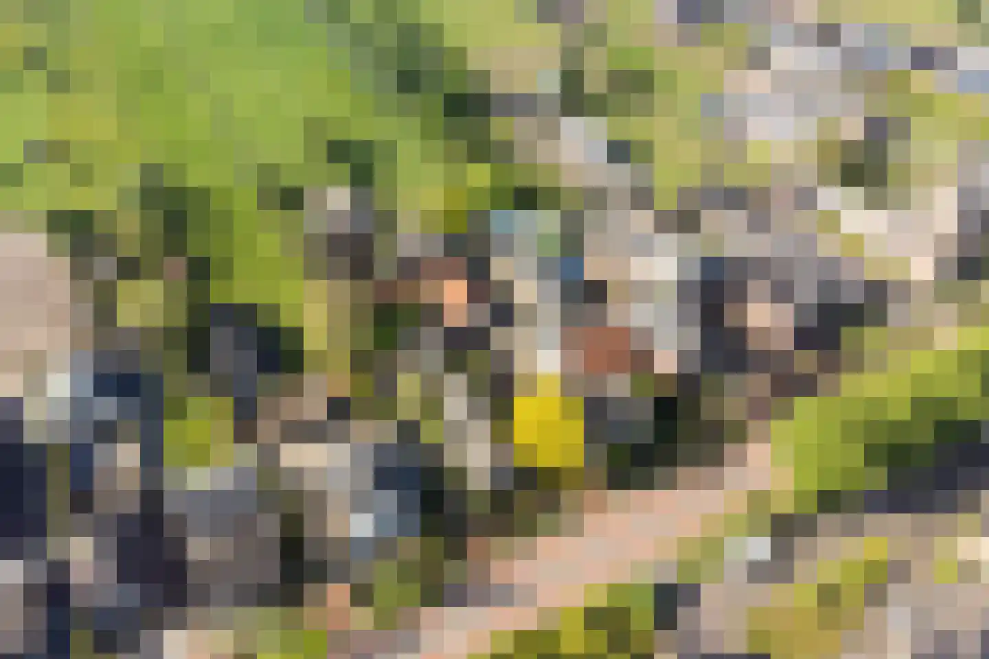 Bosscheweg 35 Drunen thumbnail 54