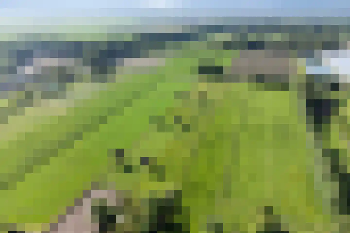 Bosscheweg 35 Drunen thumbnail 55