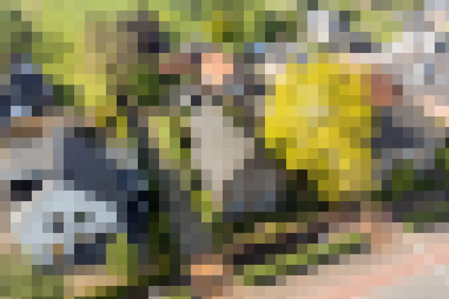 Bosscheweg 35 Drunen thumbnail 56