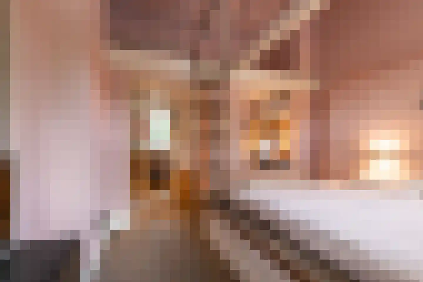 Bosscheweg 350 Tilburg thumbnail 27
