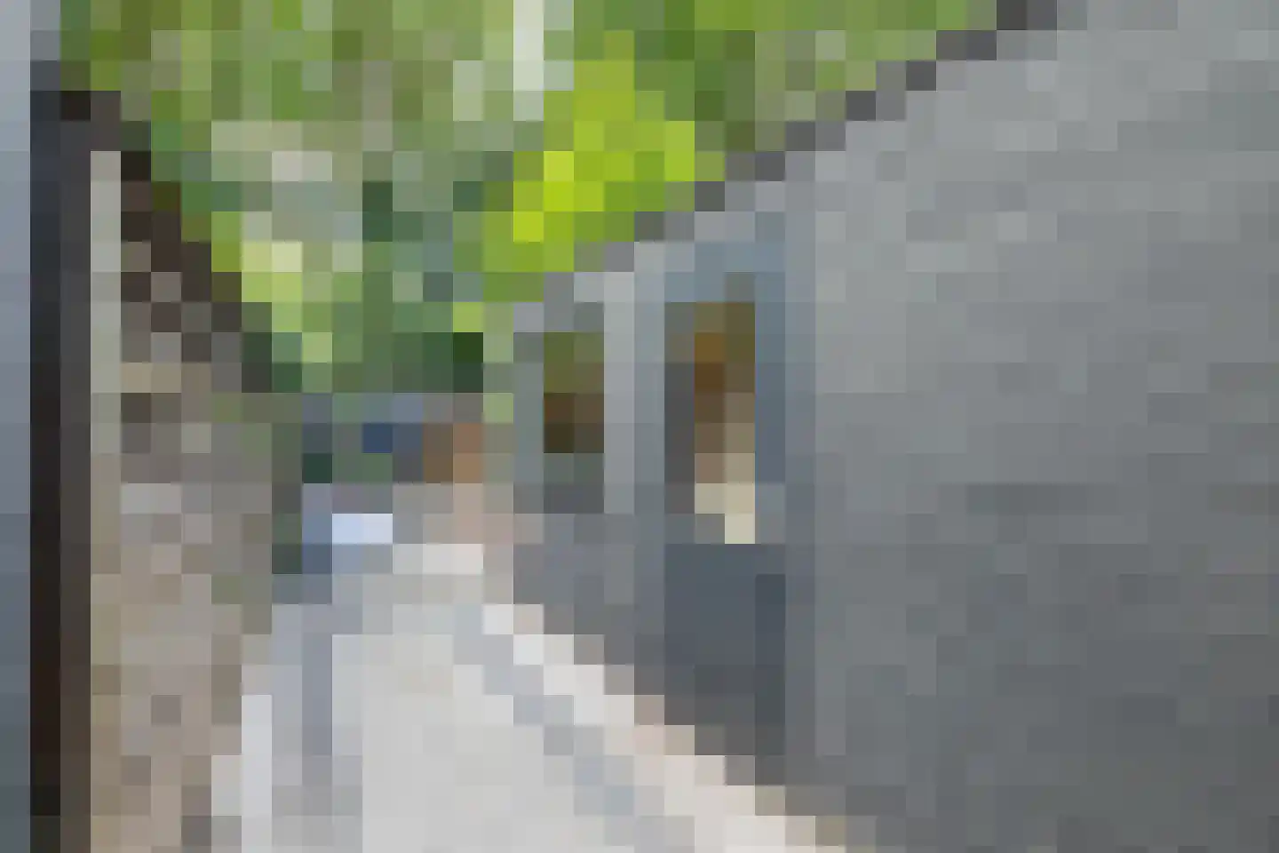 Bosscheweg 350 Tilburg thumbnail 32
