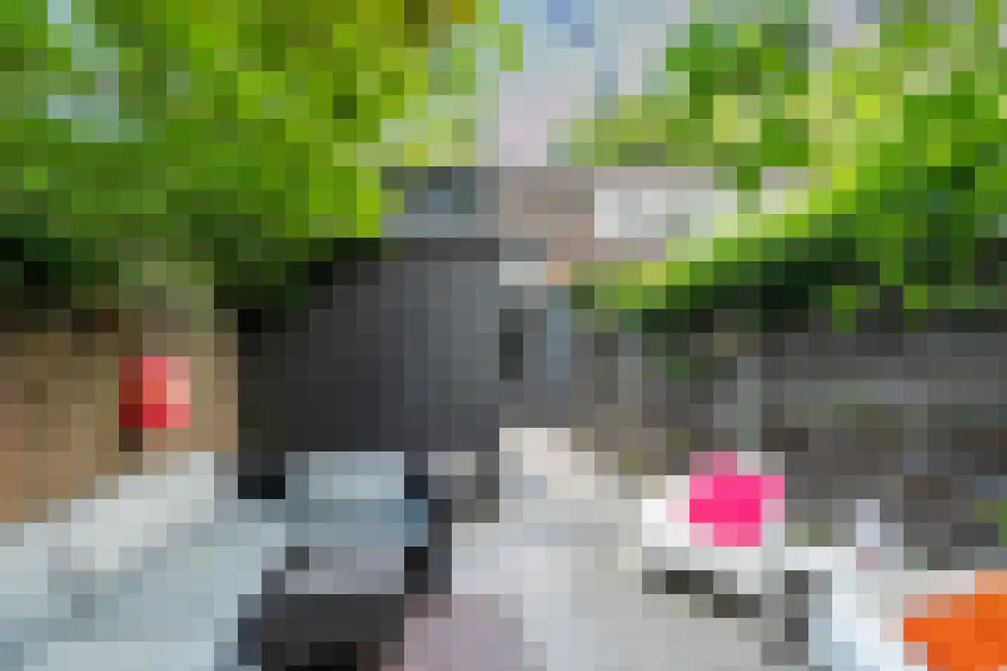 Bosscheweg 350 Tilburg thumbnail 36
