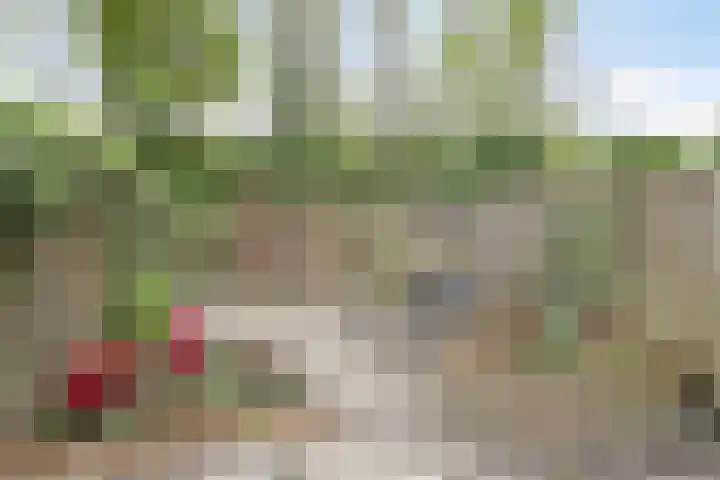 Bosscheweg 354 Tilburg thumbnail 23