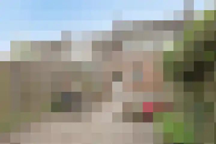 Bosscheweg 354 Tilburg thumbnail 24