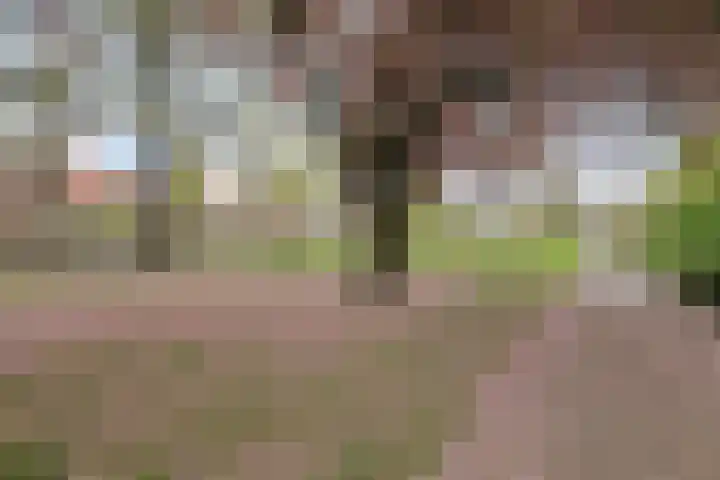 Bosscheweg 354 Tilburg thumbnail 26