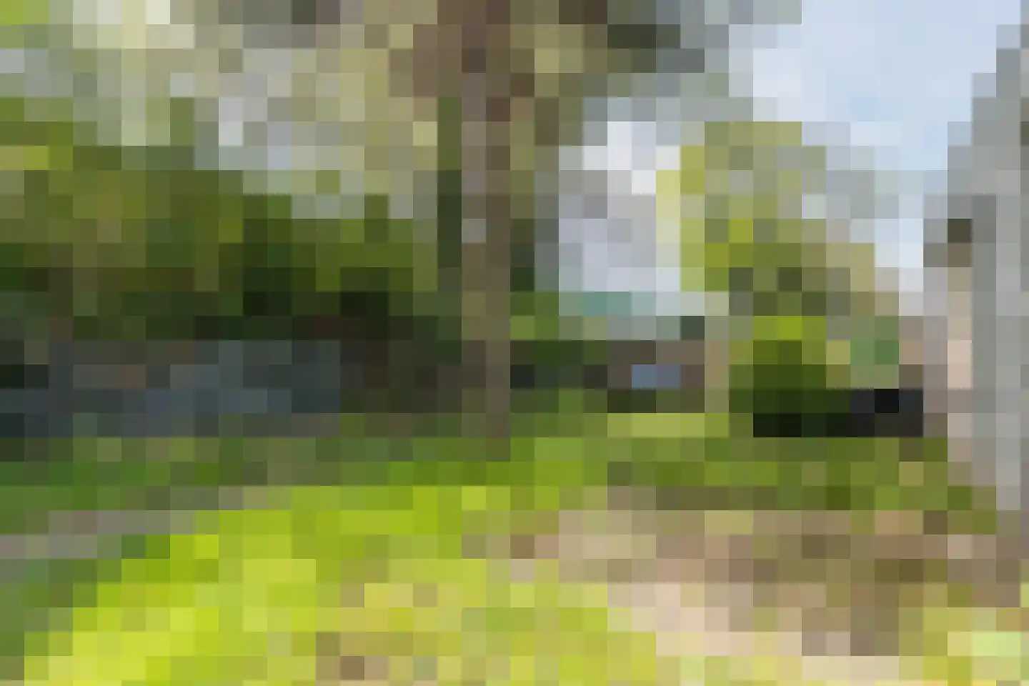 Bosscheweg 358 Tilburg thumbnail 11