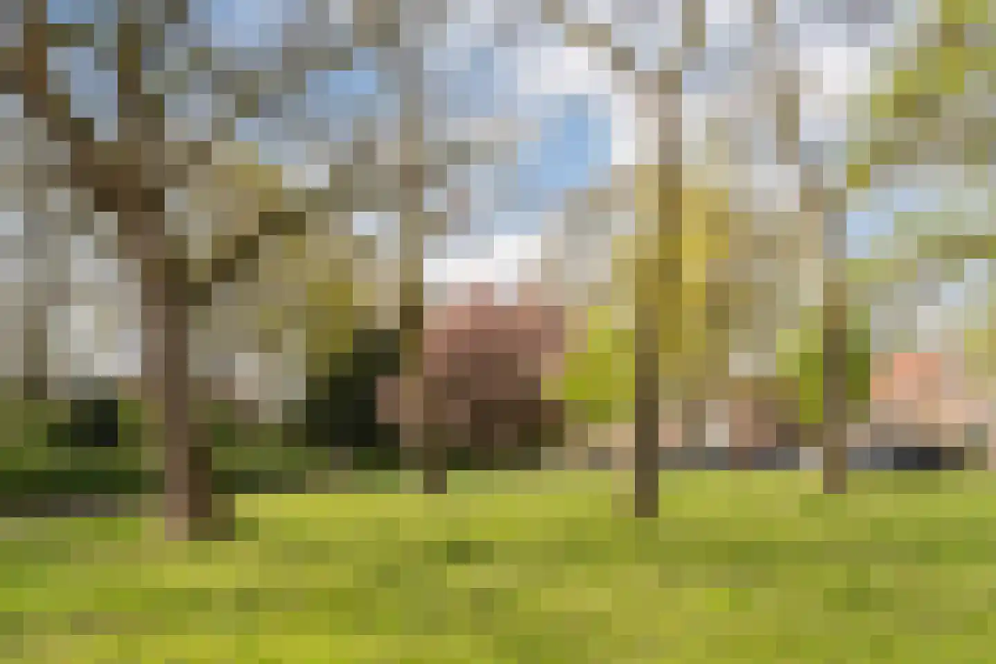 Bosscheweg 358 Tilburg thumbnail 20